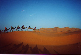 moroccan sahara
